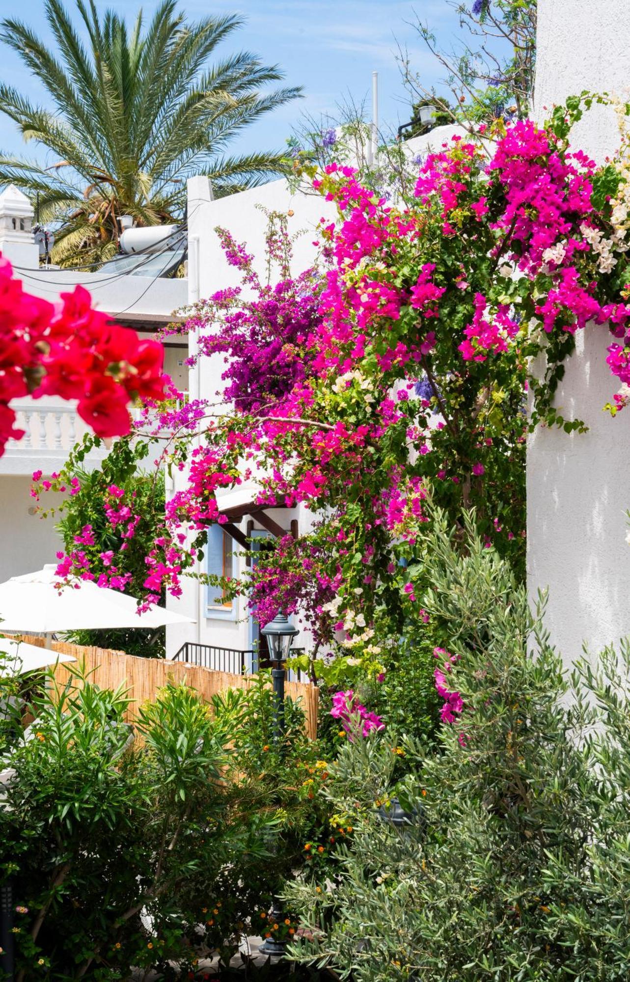 Manuela Boutique Hotel Bitez Exterior photo
